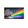 43 BUSINESS TV 4K  CHROMECAST (43BFL2214/12)