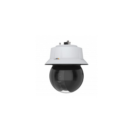 Axis Q6315-LE 50 Hz Cupola Telecamera di sicurezza IP Interno e esterno 1920 x 1080 Pixel Parete (01924-002)