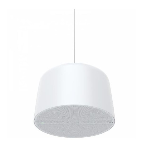 AXIS C1510 NETWORK PENDANT SPEAKER (02389-001)