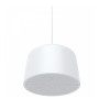 AXIS C1510 NETWORK PENDANT SPEAKER (02389-001)
