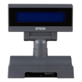 Epson DM-D310F POS display Grigio (A61A781111RF)