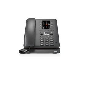 Gigaset Maxwell C telefono IP Nero TFT (S30853-H4007-R101) (S30853H4007R101)