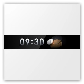 Aqara Display Switch V1 (WS-K02D)