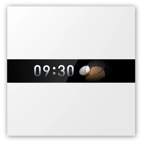Aqara Display Switch V1 (WS-K02D)