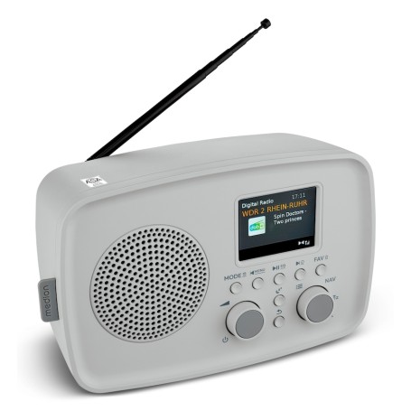 MEDION MD89288 Personale Grigio (50079350)