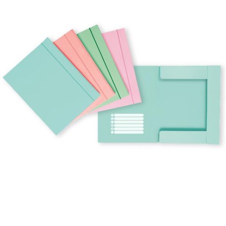 CF12 CART. 3L C/ELAT.PASTEL CAR.D01 (400207015)