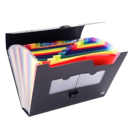 CARTELLA PORTADOCUMENTI 25 TASCHE (2580)