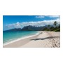Sharp PN-UN553V LCD Interno (60006189)