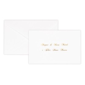 Saul Sadoch Rex 2101 cartolina di auguri e condoglianze Biglietto di auguri standard 100 pz (2101B)