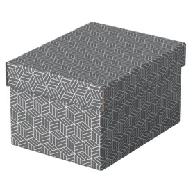 Esselte 628281 scatola di conservazione Armadietto portaoggetti Rettangolare Cartoncino Grigio (628281)