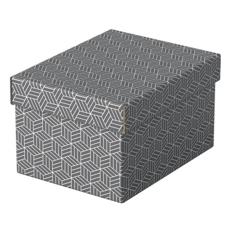 Esselte 628281 scatola di conservazione Armadietto portaoggetti Rettangolare Cartoncino Grigio (628281)