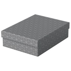 Esselte 628285 scatola di conservazione Armadietto portaoggetti Rettangolare Cartoncino Grigio