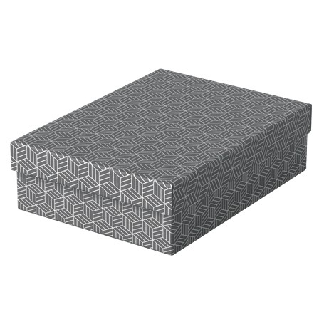 Esselte 628285 scatola di conservazione Armadietto portaoggetti Rettangolare Cartoncino Grigio