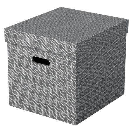 Esselte 628289 scatola di conservazione Armadietto portaoggetti Rettangolare Cartoncino Grigio