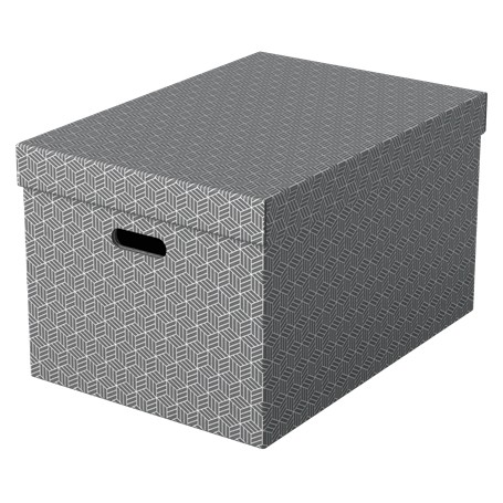 Esselte 628287 scatola di conservazione Armadietto portaoggetti Rettangolare Cartoncino Grigio