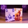 Pegasus Lone Wolves 20 min Carta da gioco (18707G)