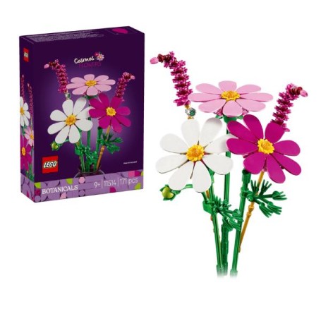 FIORI DI COSMOS (11514)