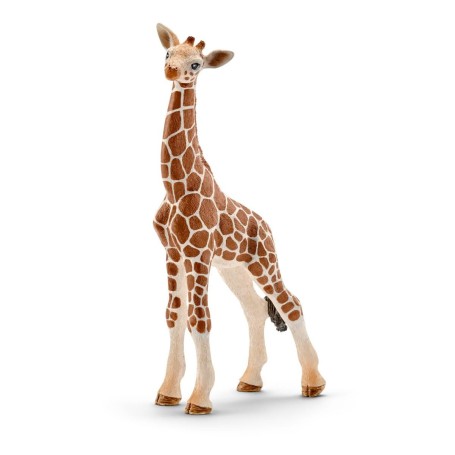 CUCCIOLO DI GIRAFFA (5) (14751)
