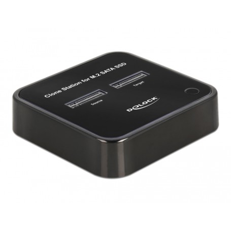 DeLOCK Docking Station M.2 per 2 x M.2 SATA SSD con funzione di clonazione (64178)