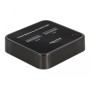 DeLOCK Docking Station M.2 per 2 x M.2 SATA SSD con funzione di clonazione (64178)
