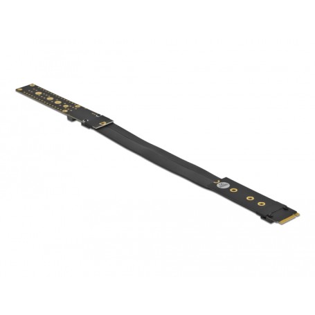 DeLOCK 64136 scheda di interfaccia e adattatore Interno M.2 (64136)