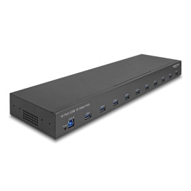 DeLOCK Hub del settore da 19″ 10 x USB 10 Gbps Tipo-A (64240)