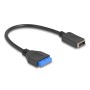 DeLOCK Cavo USB 5 Gbps da pin header femmina a chiave A interna USB Type-E femmina 25 cm (65100)