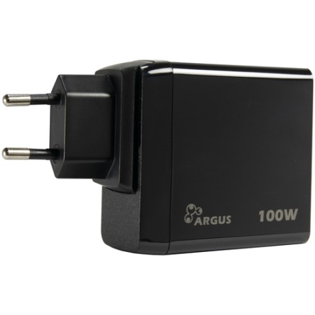 Inter-Tech PD-3100 adattatore e invertitore Interno 100 W Nero (88882230)
