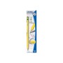 Lyra Temagraph B 12 pz (L1140101)