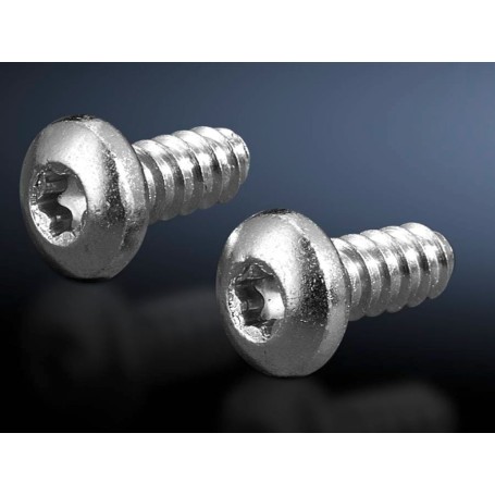Rittal 2486.600 giravite e bullone 300 pz Vite (2486600)