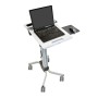 Ergotron Neo-Flex Laptop Cart Grigio (24-205-214)