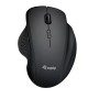 ERGONOMIC 2.4G + DUAL BLUETOOTH REC (245121)