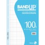 RICAMBI RINF. BAND UP 100G A4 R.10F (0123166)