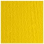 CF10 LR CEDRO-70X100 (46470125)