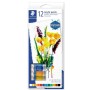 ESP12 VERNICE FLACONE DA 75 ML ASS (8500C12)