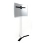 Erard STANDiT 600 190,5 cm (75") Nero, Bianco (ER044660)