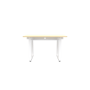 DEZCTOP DESK BIFROST 120 OAK DK-BFTET12-OK1 DK-BFTUTFM-SW1 pannello opziona (DK-BFT122N-OK1)