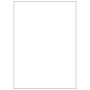 CF100 ETICHETTE 210X297 (LP4MS-210297)