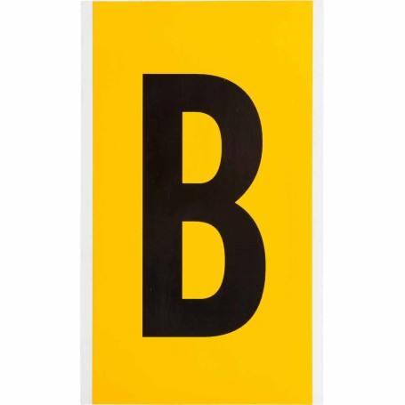 Brady 1570-B etichetta autoadesiva Rettangolo Permanente Nero, Giallo 25 pz (097571)