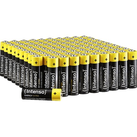 Intenso 7501521 batteria per uso domestico Batteria monouso Stilo AA Alcalino