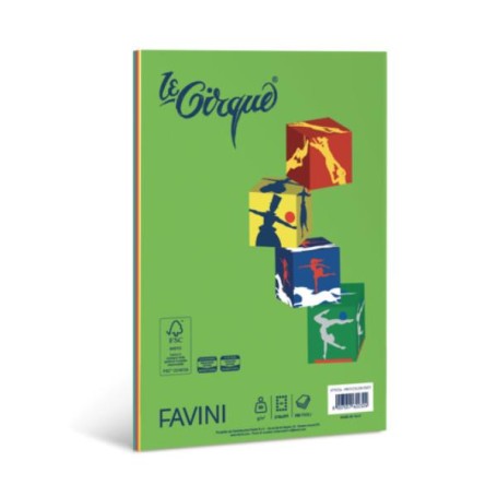 RISMA LE CIRQUE MIX 5 COL 100FG A4 (A71X124)