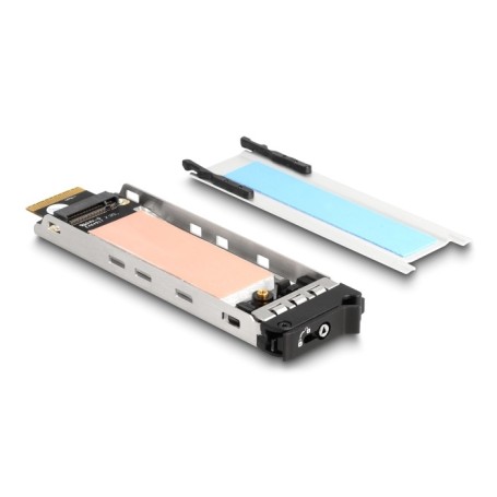 Wechselrahmen Einschub 1 x M.2 NMVe SSD fr 47028 (47037)