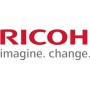 Ricoh Copy Data Security Unit Type G - Sicherheitsausrüstung für Drucker - für Ricoh MP C6003SP, SP 4510SF, SP 4510SFTE (416391)