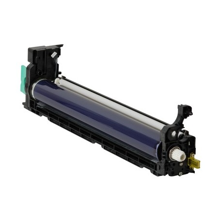 Ricoh D0292251 tamburo per stampante Originale