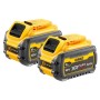 Dewalt DCB546T2-XJ 6A Akku-Set (DCB546T2-XJ)