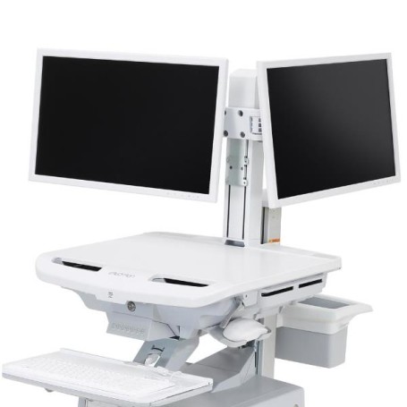 Ergotron STYLEVIEW DUAL MONITOR KIT Scrivania (98-030)