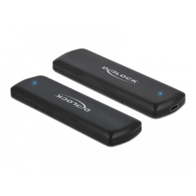 DeLOCK 42633 contenitore di unità di archiviazione Box esterno SSD Nero M.2 (42633)