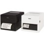 CITIZEN CL-E300EX Printer_ USB, Bluetooth, Black, EN Plug (CLE300EXXEBTXX)