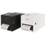 CITIZEN CL-E321EX Printer_ USB, Bluetooth, Black, EN Plug (CLE321EXXEBTXX)