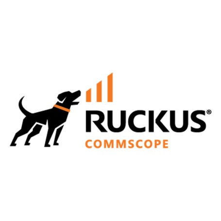 RUCKUS Networks WatchDog Support 3 anno/i (826-RU55-3000)